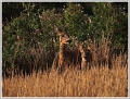 Photo de famille
